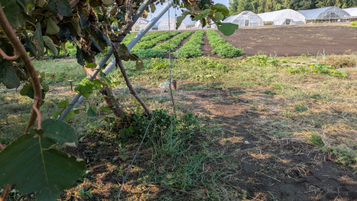 農業ギャラリー画像