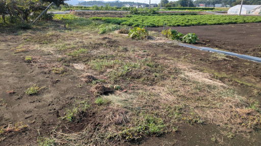 農業ギャラリー画像